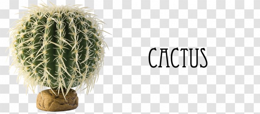 Reptile Terrarium Barrel Cactus Vivarium Exo Terra - Desert - Cactaceae Transparent PNG