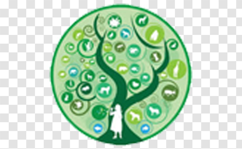 International Year Of Biodiversity Day For Biological Diversity On The Brink Extinction Biology - Conservation - Natural Environment Transparent PNG