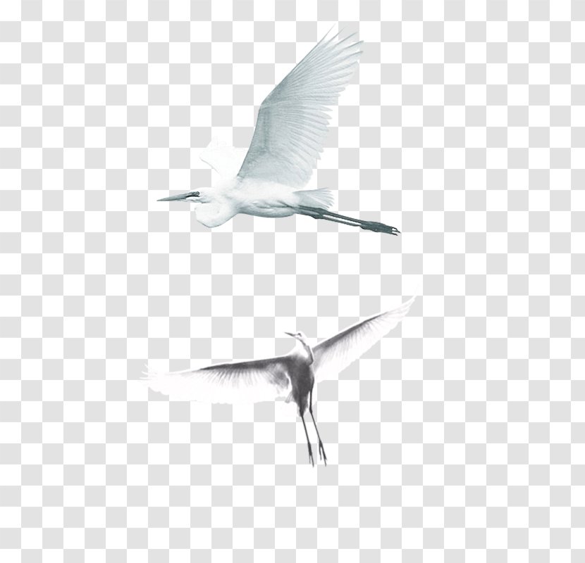 Crane Download - No Transparent PNG