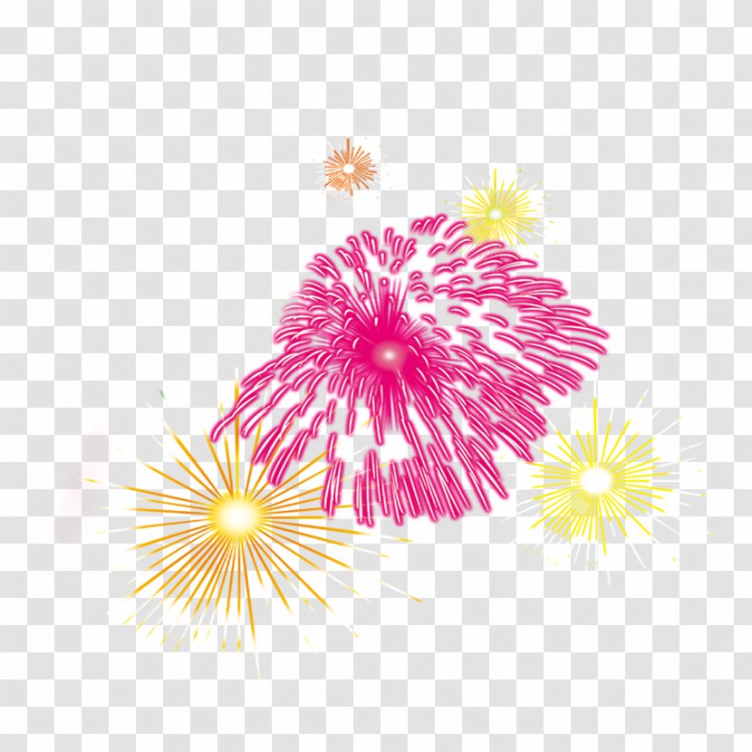 Fireworks Graphic Design Phxe1o - Flower - New Year Transparent PNG
