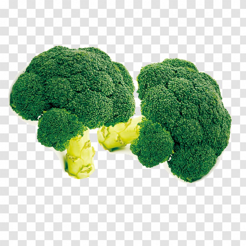 Broccoli Cabbage Vegetable Download - Rgb Color Model - Cauliflower Transparent PNG