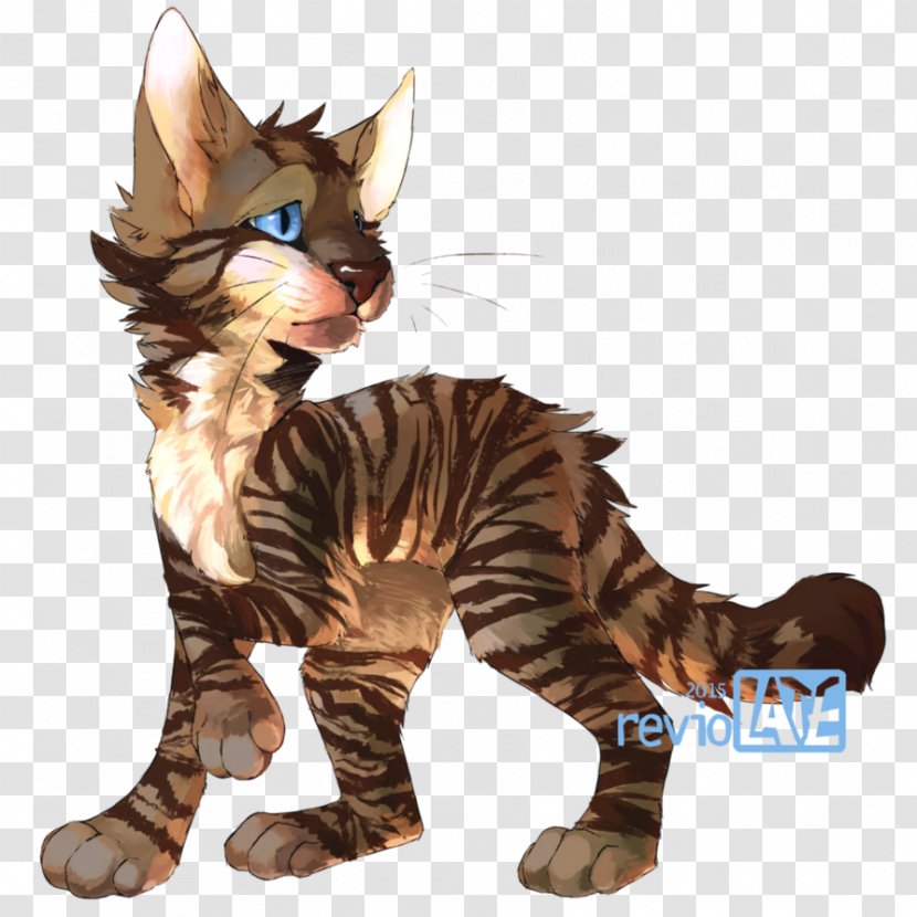 Into The Wild Warriors Littlecloud Whiskers ShadowClan - Cat Transparent PNG