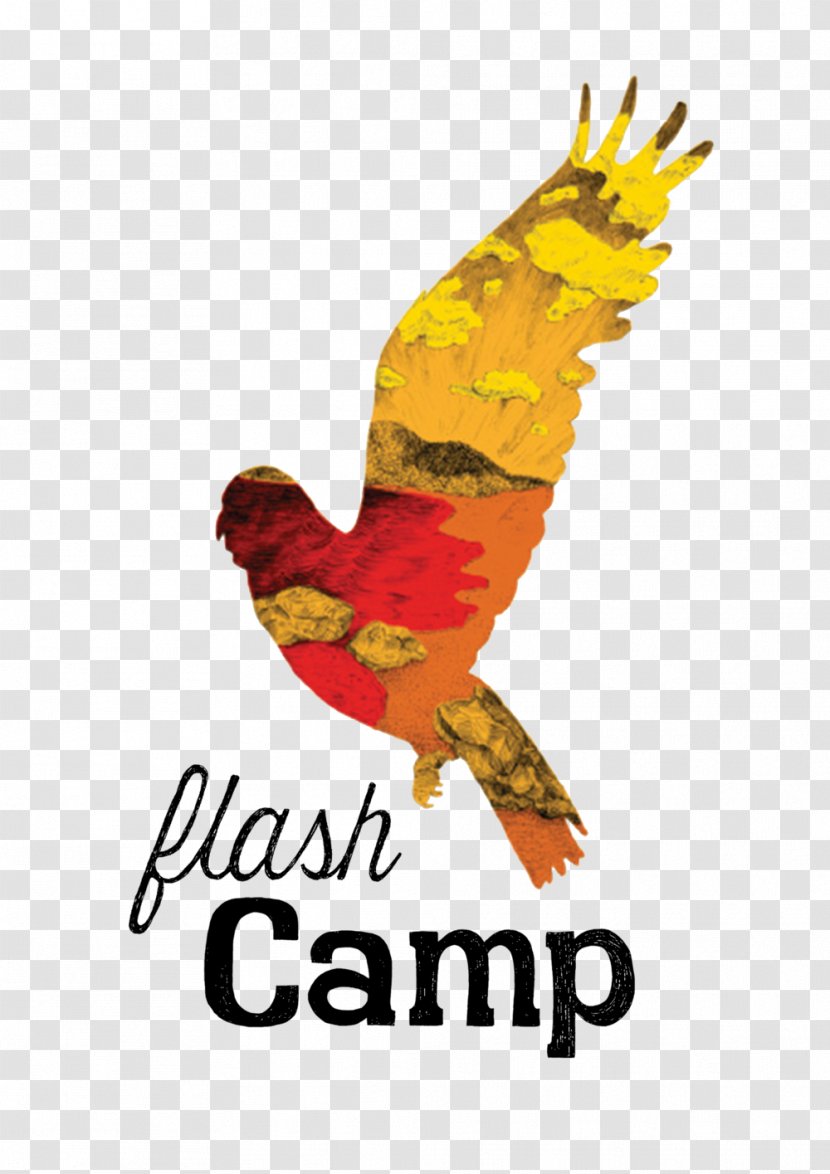 Flash Camp Kakadu National Park Falls Festival Byron Bay 2018 Camping - Hotel Transparent PNG