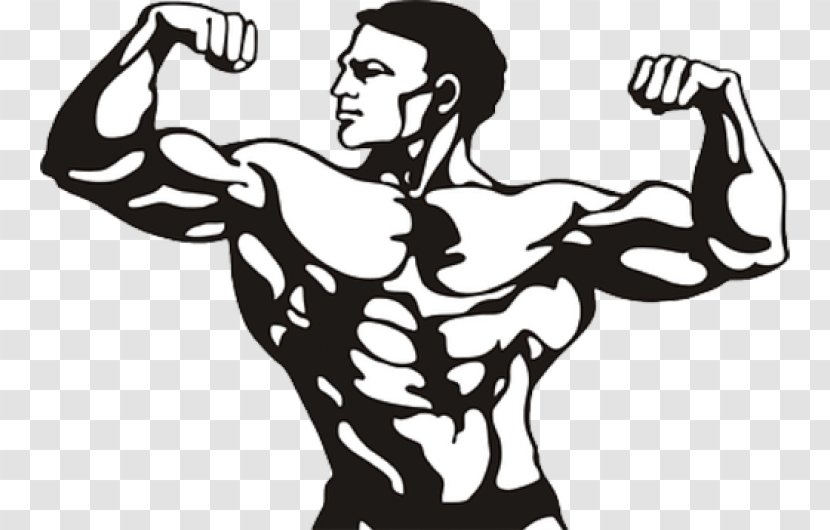Bodybuilding Drawing Clip Art - Olympic Weightlifting Transparent PNG