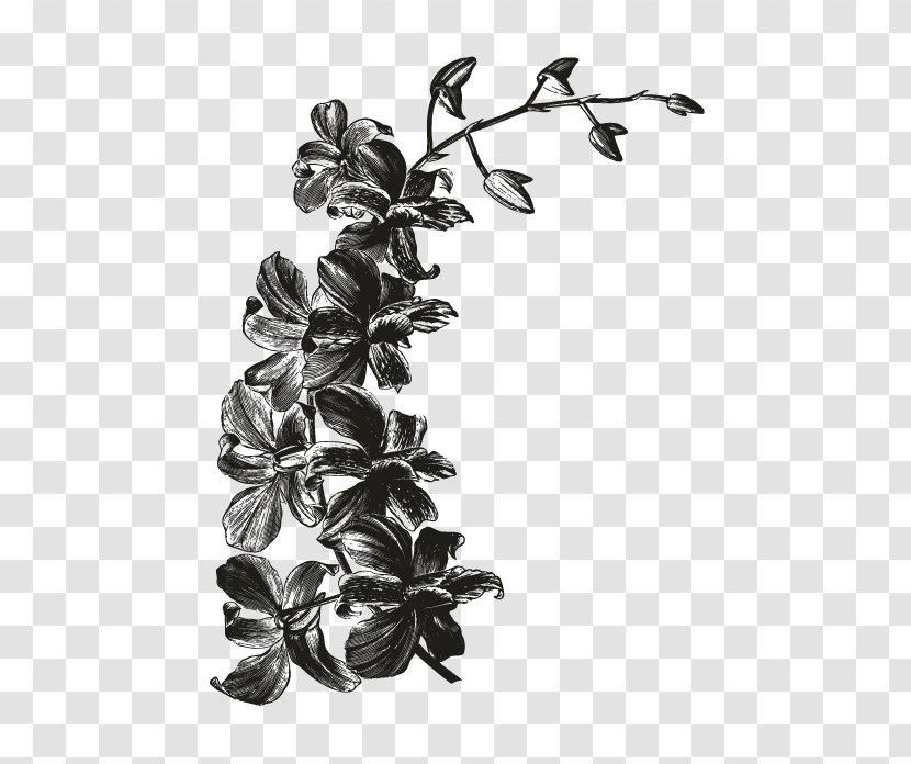 White Leaf Branching Orchids Transparent PNG