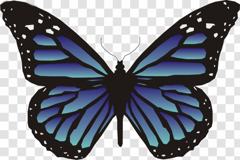 Butterfly Animation Clip Art - Brush Footed - Blue Transparent PNG