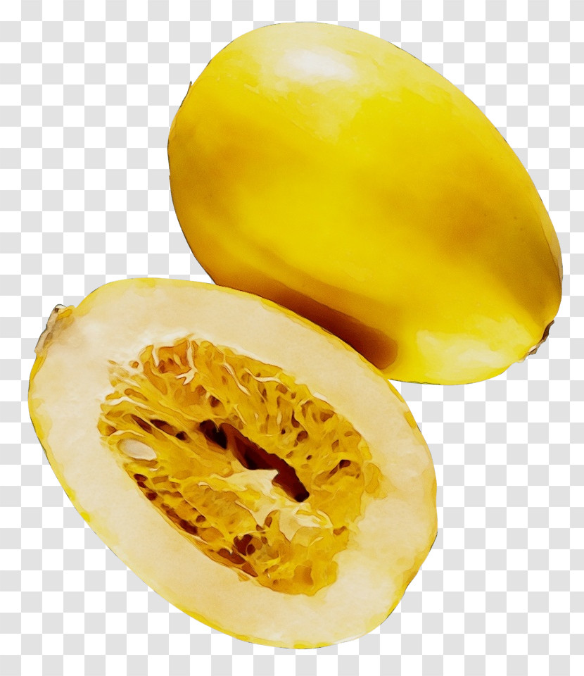 Squash Winter Squash Superfood Citron Fruit Transparent PNG