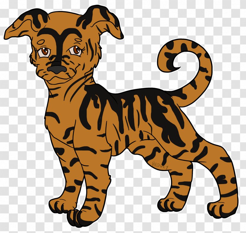 Whiskers Cat Puppy Tiger Dog - Felidae Transparent PNG