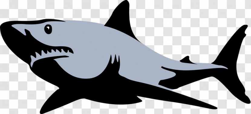 Great White Shark Bull Tiger Clip Art - Fish - Illustration Transparent PNG