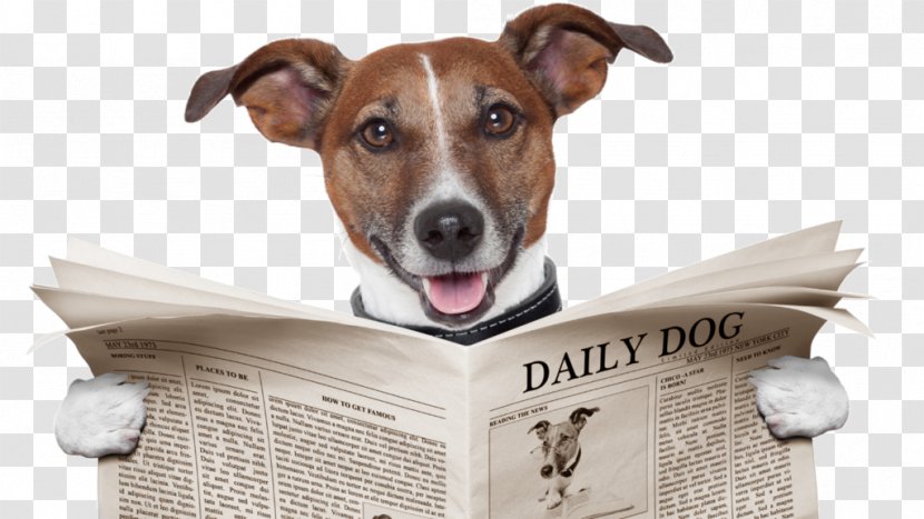 Dog Training Stock Photography Newspaper Veterinarian - Pet Adoption Transparent PNG