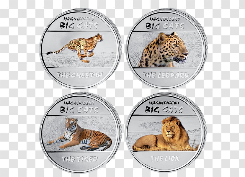 Silver Coin Cat Democratic Republic Of The Congo - Currency Transparent PNG