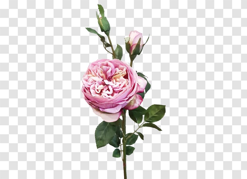 Garden Roses Cabbage Rose Floral Design Cut Flowers - Artificial Flower Transparent PNG