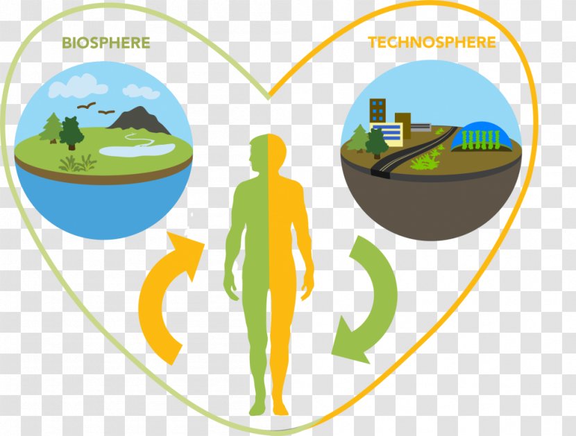 Animal Human Microbiota Bacteria Homo Sapiens - Green - Gut Transparent PNG