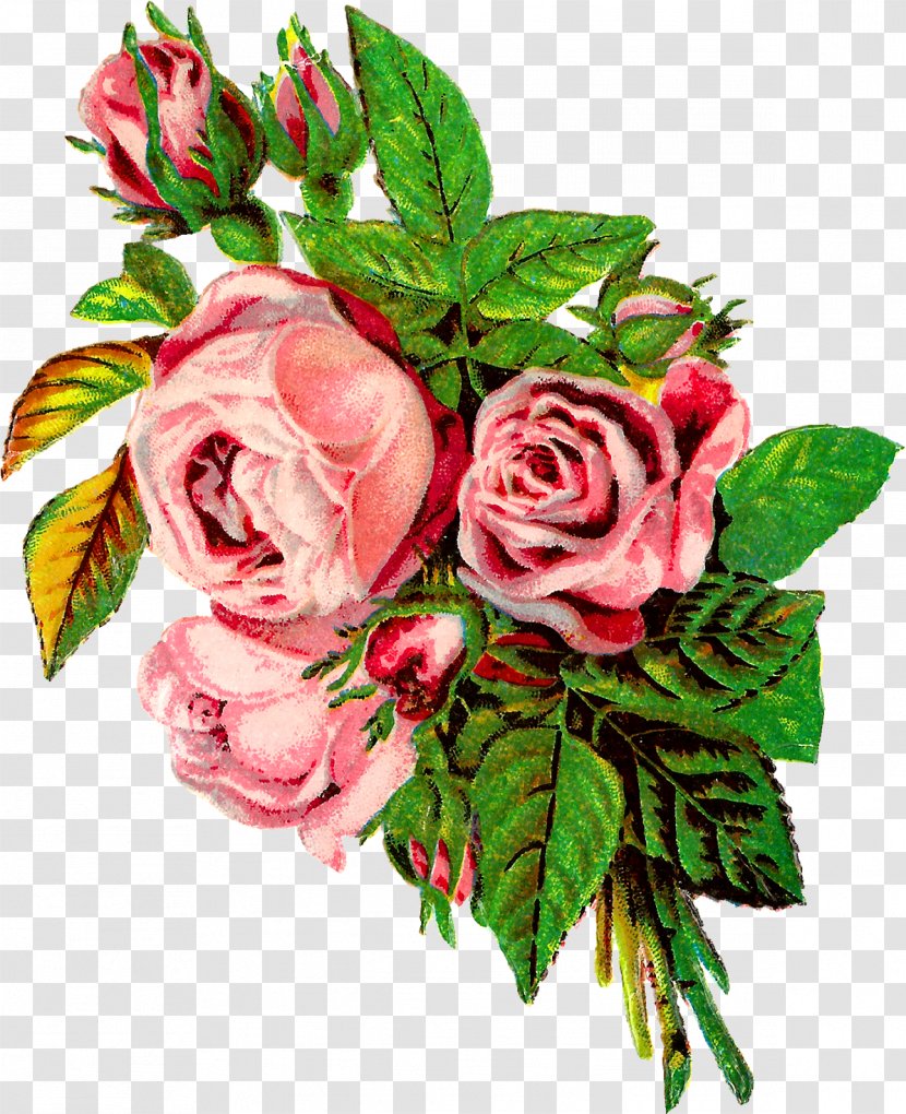 Pink Flowers Background - Floral Design - Hybrid Tea Rose Petal Transparent PNG