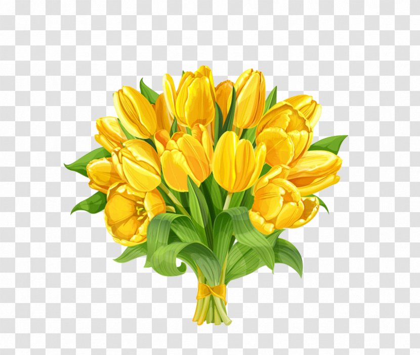Indira Gandhi Memorial Tulip Garden Flower Bouquet - Yellow Tulips Transparent PNG