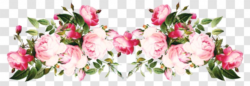 Rose Flower Floral Design Clip Art - Flowering Plant - Cut Flowers Transparent PNG