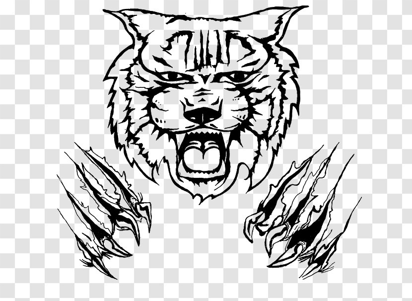 Wildcat Drawing Clip Art - Tail - Cat Transparent PNG