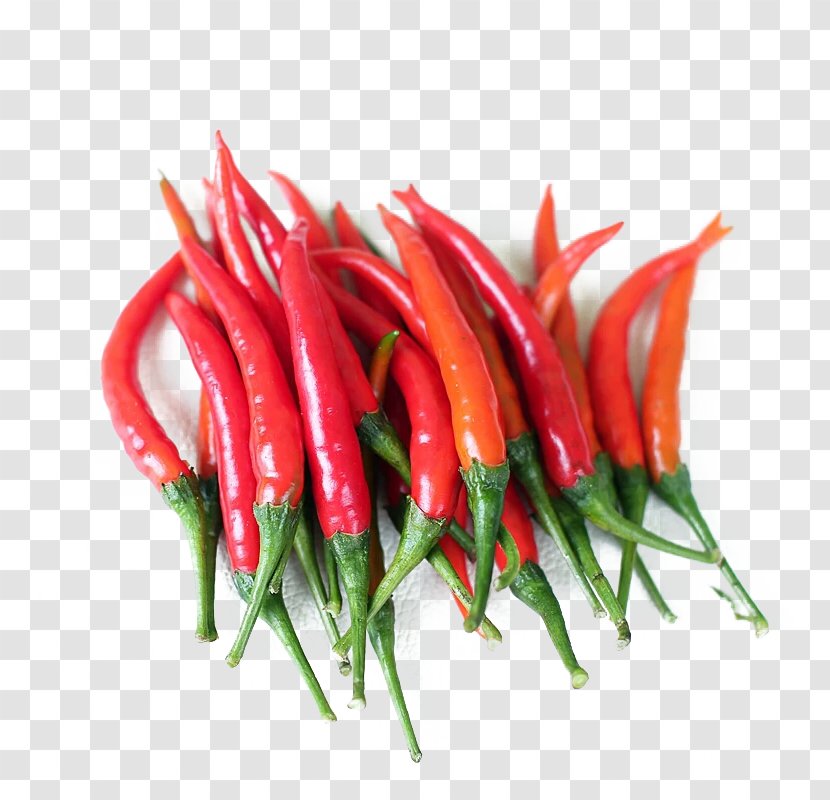 Birds Eye Chili Serrano Pepper Chile De Xe1rbol Piquillo Cayenne - Spice - Red Material Transparent PNG