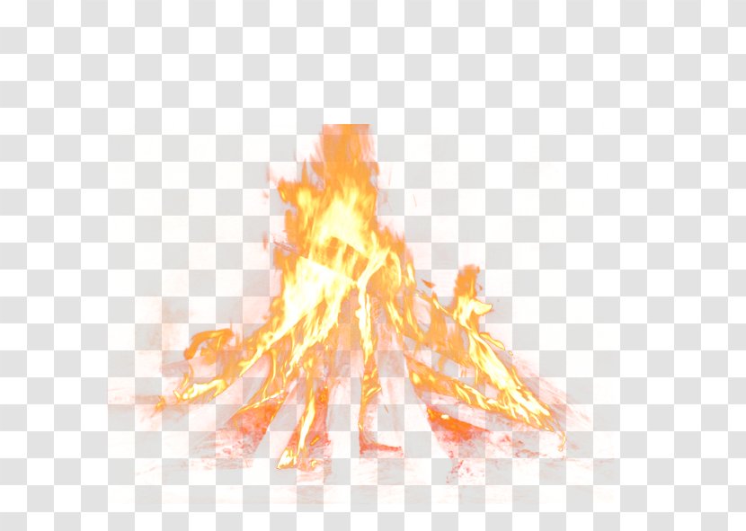 Chambal Garden Flame Fire Download - Transparency And Translucency - Elemental Transparent PNG