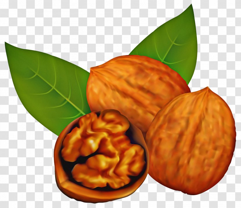 Nut Food Walnut Almond Nuts & Seeds - Plant - Ingredient Tree Transparent PNG