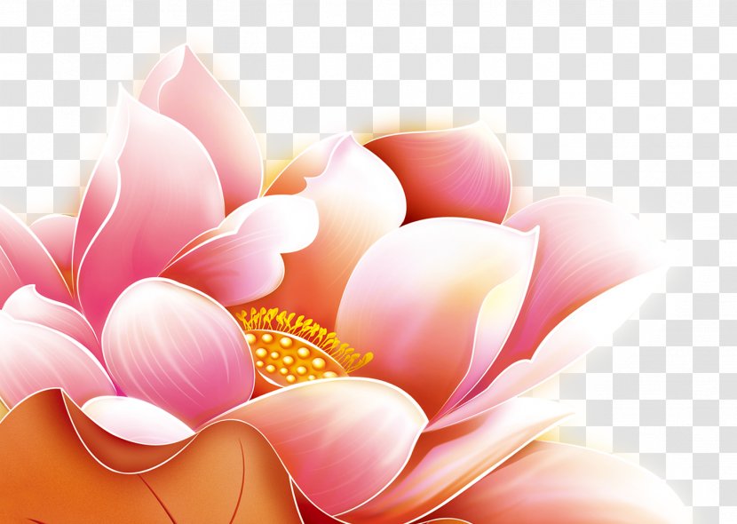 China Chinese New Year - Peach - Lotus Pattern Transparent PNG