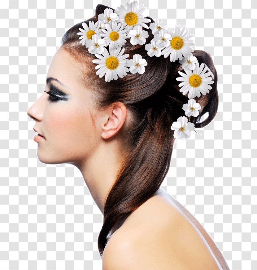 Hairstyle Beauty Parlour Fashion Hair Care - Accessory Transparent PNG
