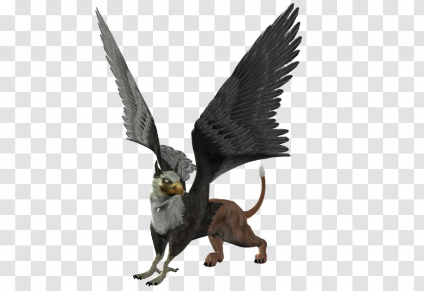 Griffin Monster - Bird Of Prey - Wings Transparent PNG