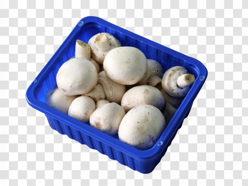 Common Mushroom Shiitake - Enokitake - The Basket Of Mushrooms Transparent PNG
