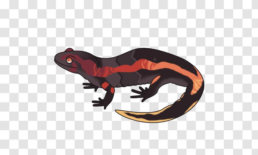 Salamandra Reptile Animal - Amphibian - Figure Transparent PNG