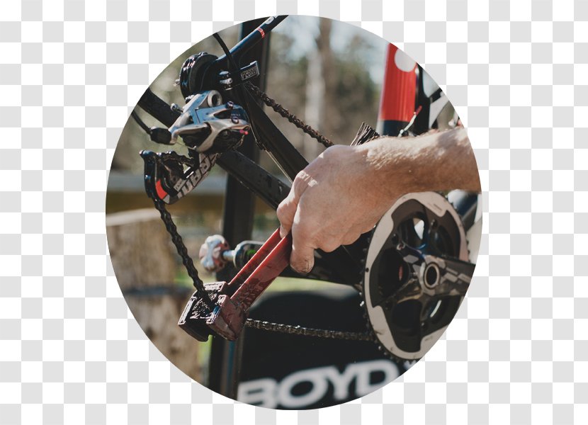 Carolina MultiSpoke Bicycle Shop Racing Wheel - Price Transparent PNG