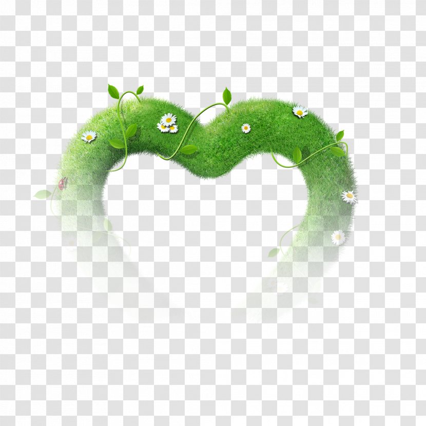 Heart-shaped Grass - Organism - Symbol Transparent PNG