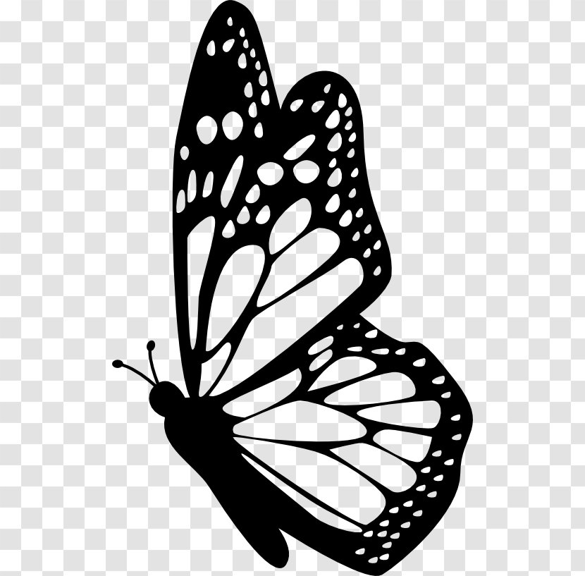 Monarch Butterfly Insect Clip Art - Monochrome Photography Transparent PNG