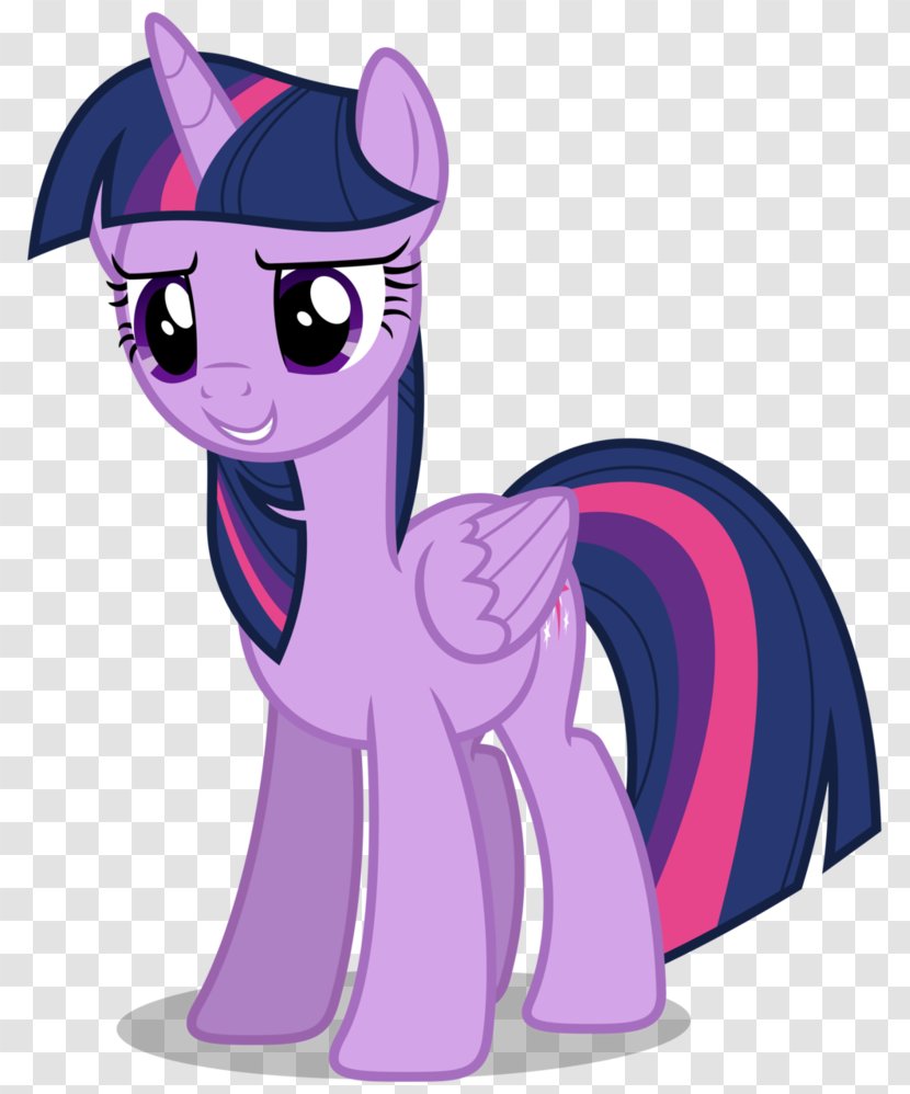 Twilight Sparkle Winged Unicorn Derpy Hooves Pony - Vector Transparent PNG