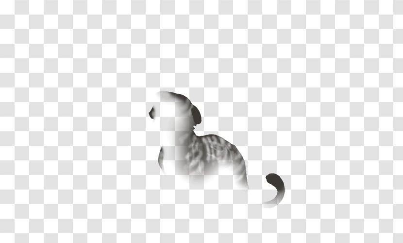 Cat Tail White Black M Font - Organism Transparent PNG