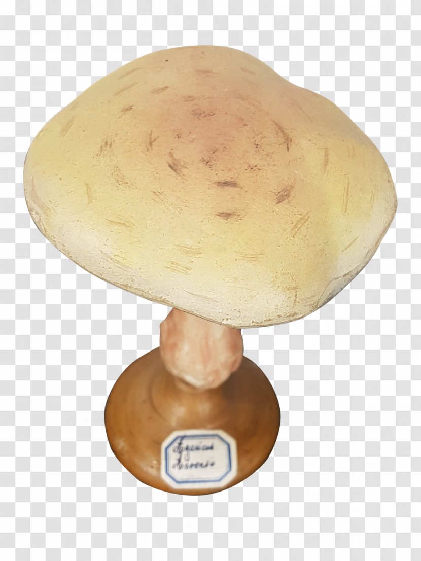 Agaricomycetes Agaricaceae Mushroom Ingredient - Table - Fungi Transparent PNG