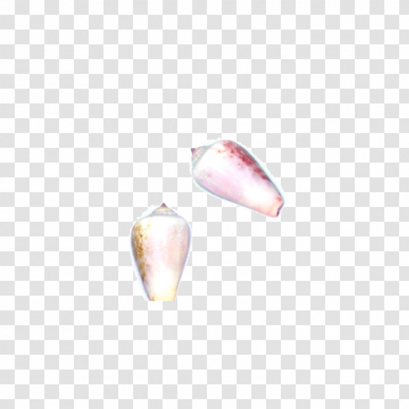 Petal Heart - Colored Conch Transparent PNG