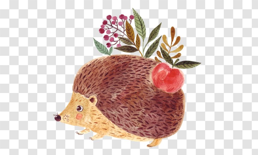 Hedgehog Royalty-free Stock Photography Illustration - Erinaceidae - Vector Cartoon Transparent PNG