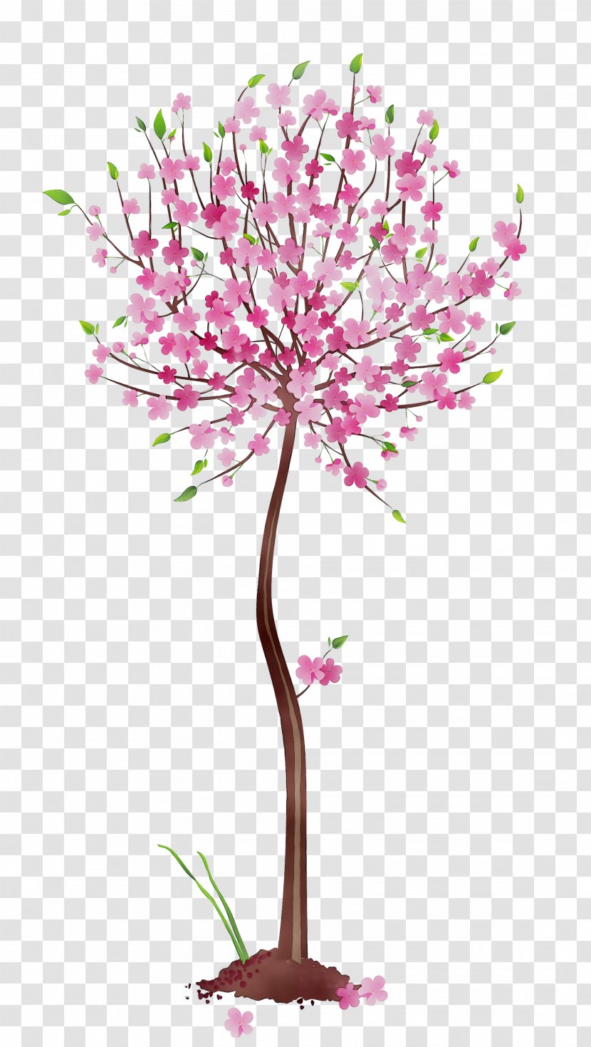 Clip Art Openclipart Illustration Tree - Botany - Flowering Plant Transparent PNG