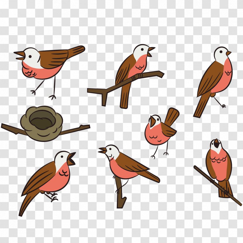 Bird Swallow - Eight Kinds Of Birds Vector Posture Transparent PNG