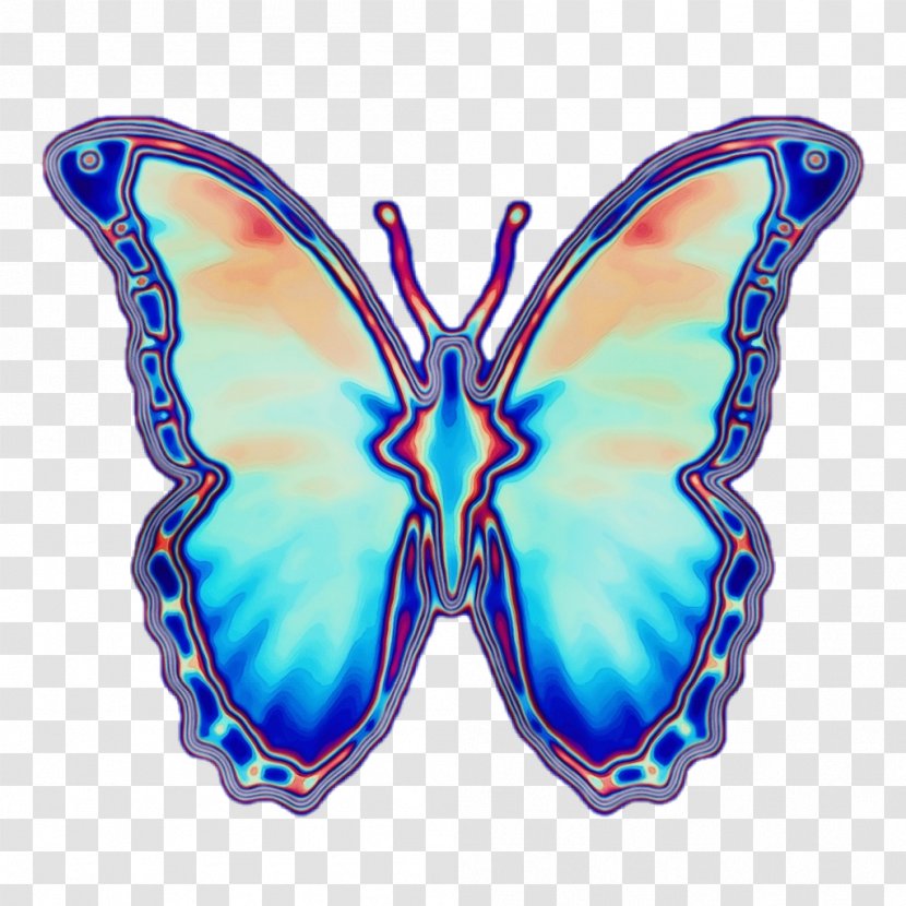 Picsart Background - Drawing - Brushfooted Butterfly Wing Transparent PNG