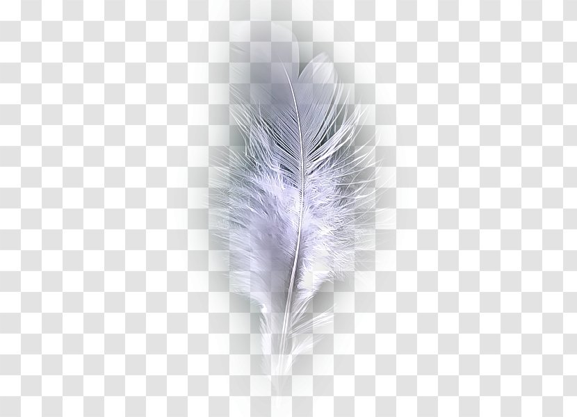 Ecole De Spectacle Envol Plumes Feather Bird Dance - Avatar - Blue Transparent PNG