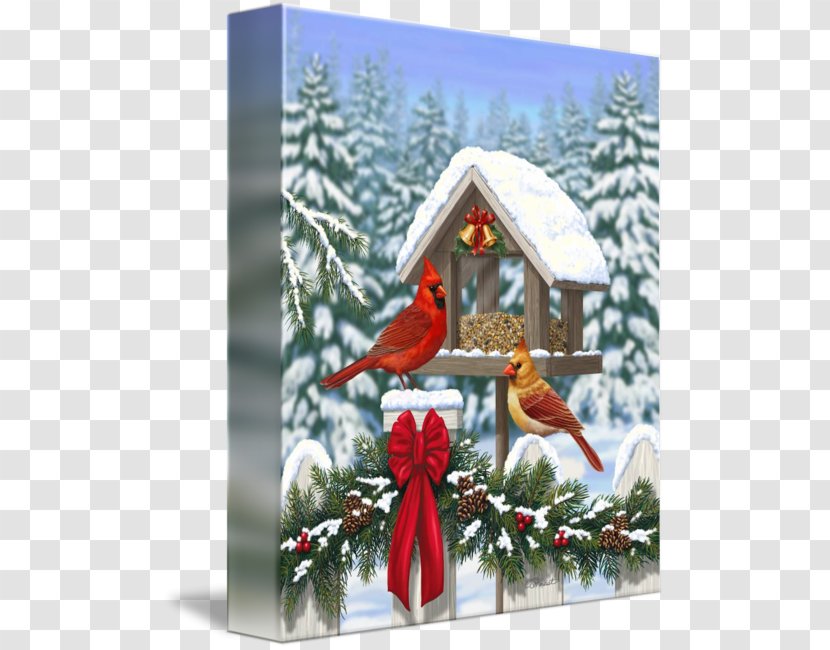 Christmas Tree 1964 St. Louis Cardinals Season Ornament - Northern Cardinal Transparent PNG