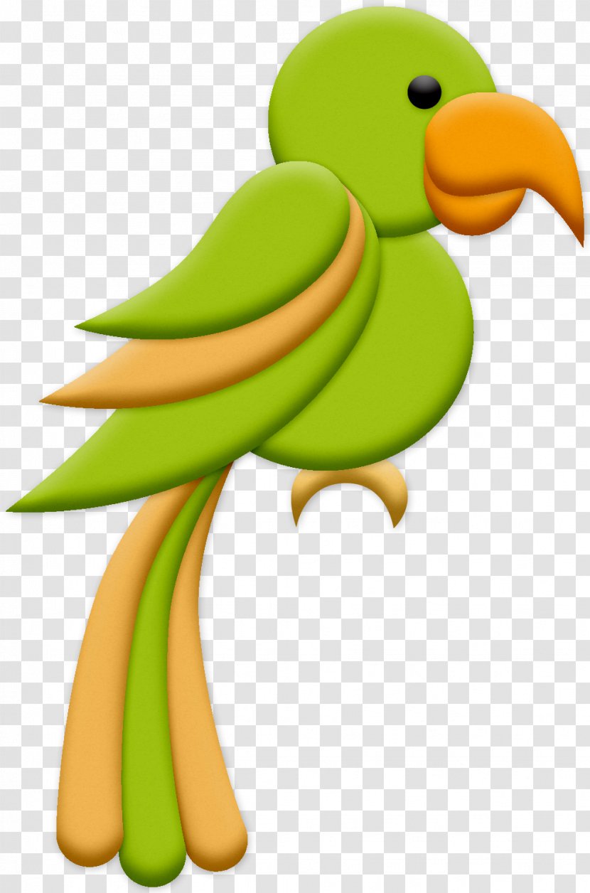 Bird Parrot - Duck - Piciformes Transparent PNG
