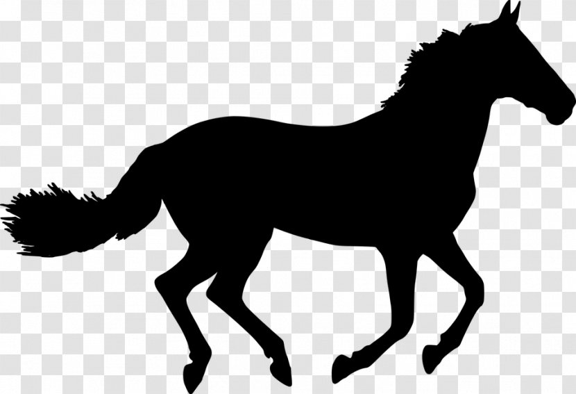 Horse Drawing Silhouette Clip Art - Livestock Transparent PNG