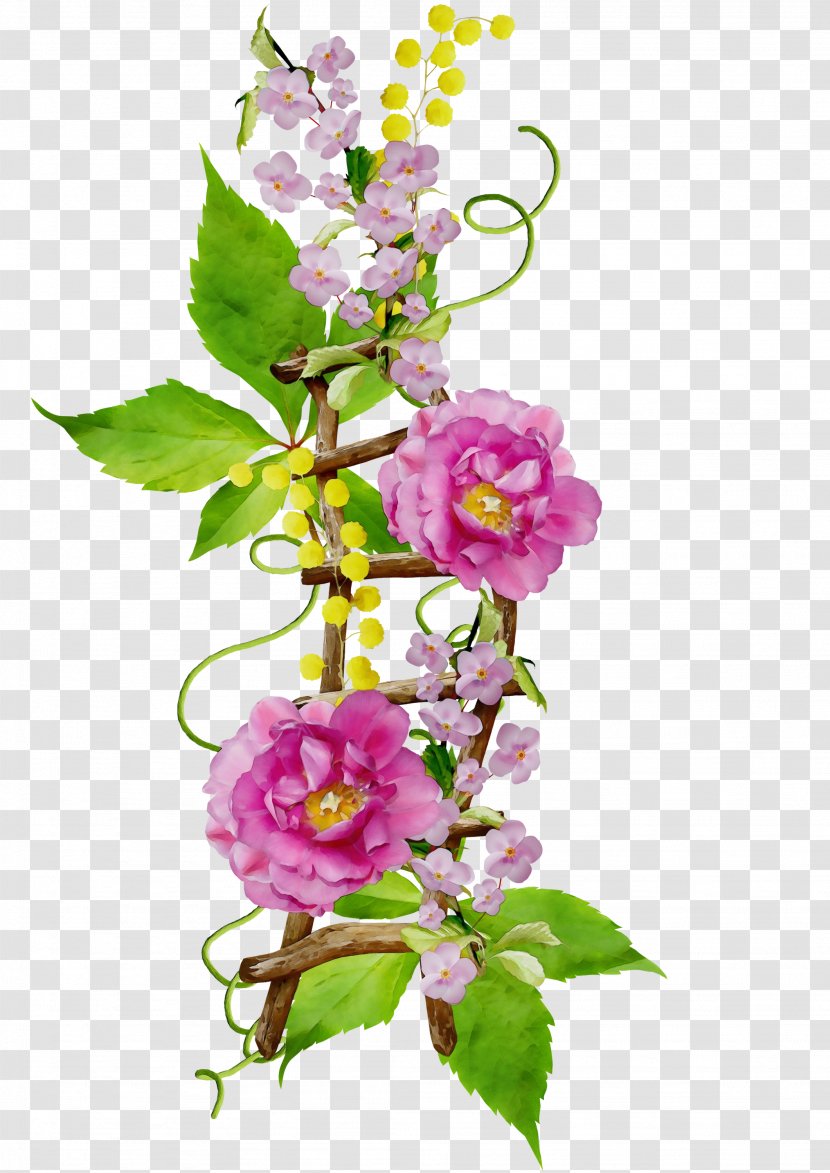 Clip Art Flower Floral Design Image - Petal - Floristry Transparent PNG