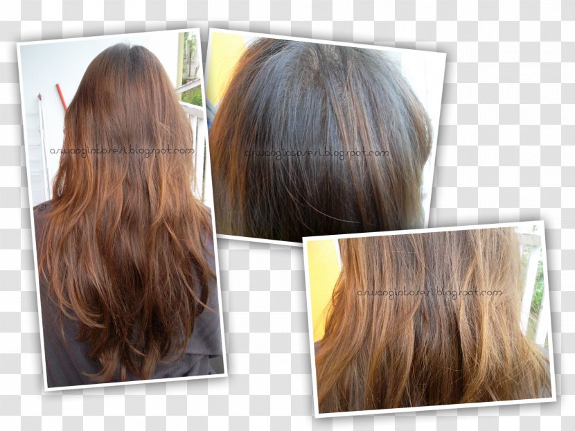 Long Hair Step Cutting Coloring Brown Transparent PNG