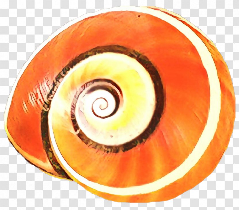 Nautiluses Eye Close-up Invertebrate Fahrenheit - Spiral - Automotive Wheel System Transparent PNG