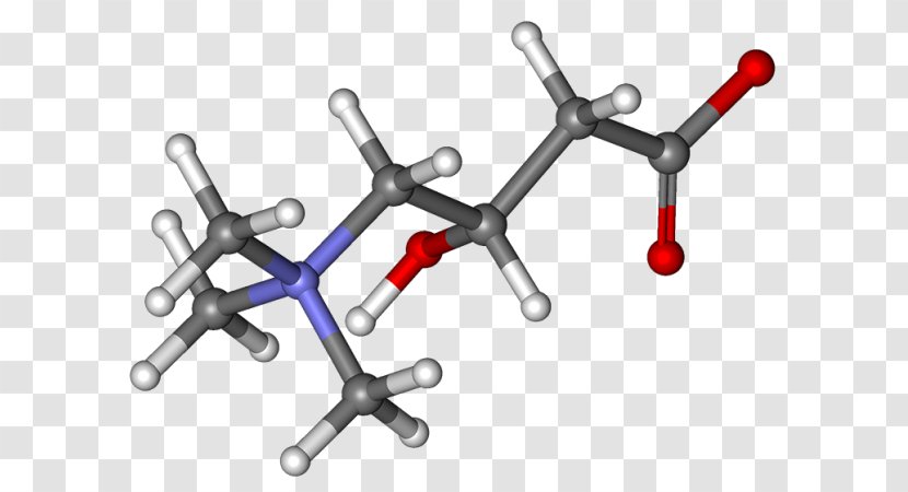 Levocarnitine Systemic Primary Carnitine Deficiency Acetylcarnitine Palmitoyltransferase I Dietary Supplement - Coenzyme A - Molecule Transparent PNG