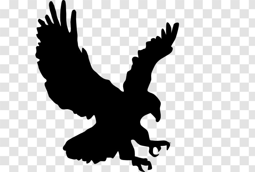 Bird Cricut Eagle AutoCAD DXF - Beak - Organism Transparent PNG