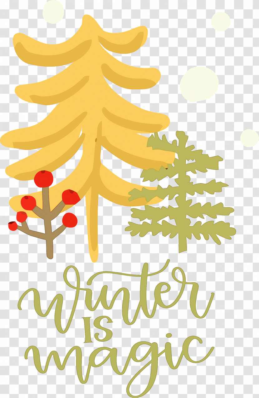 Winter Is Magic Hello Winter Winter Transparent PNG